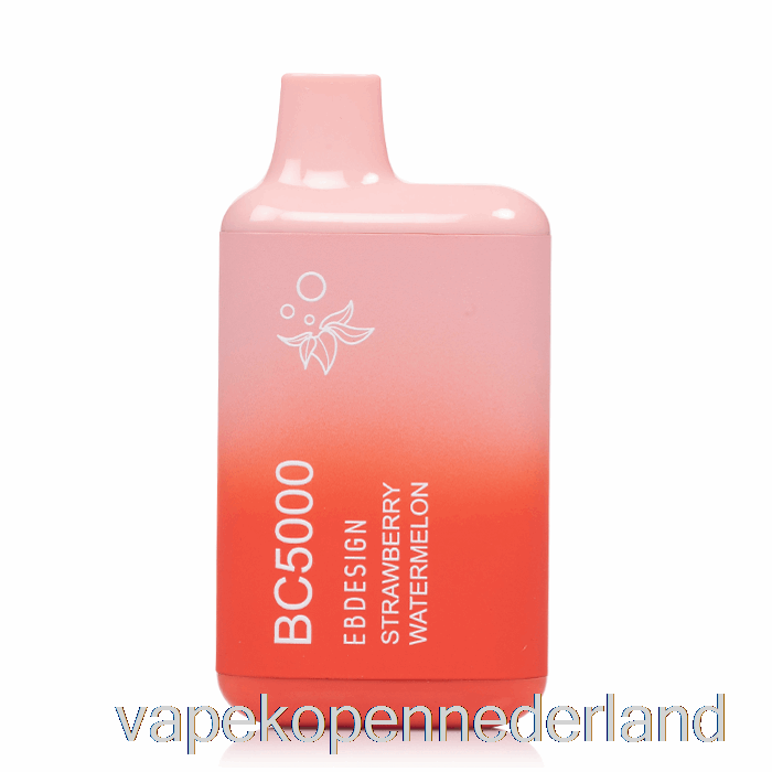 Vape Nederland Bc5000 Wegwerp Aardbei Watermeloen